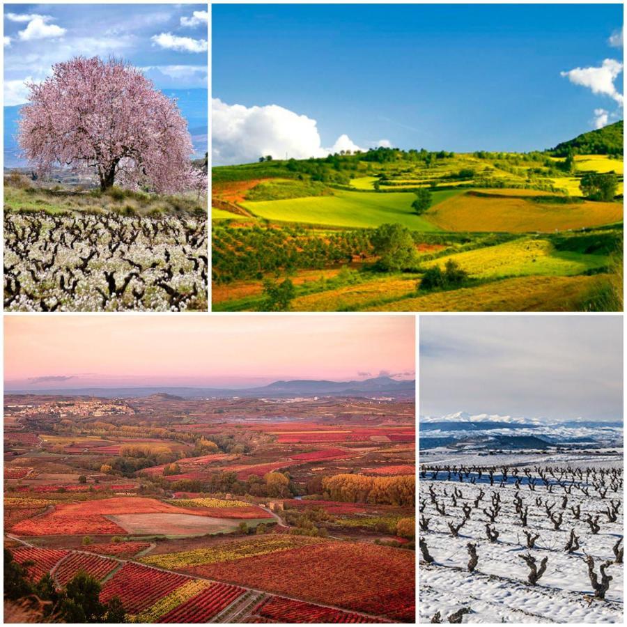 로그로노 Marques De La Rioja 아파트 외부 사진